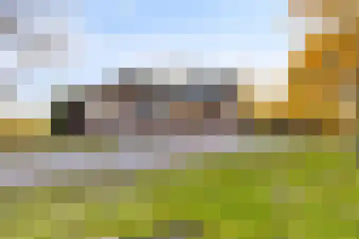 Peelkanaalweg 1 Westerbeek thumbnail 55