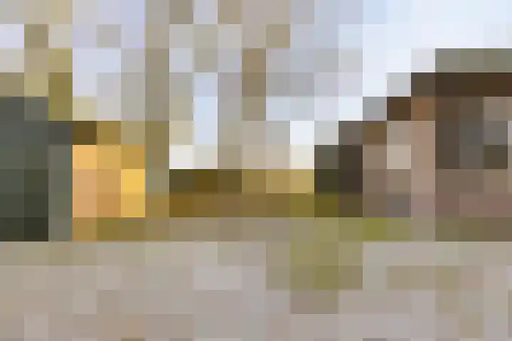 Peelkanaalweg 1 Westerbeek thumbnail 56
