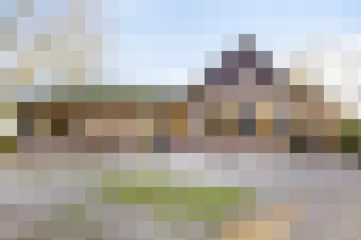 Peelkanaalweg 1 Westerbeek thumbnail 57
