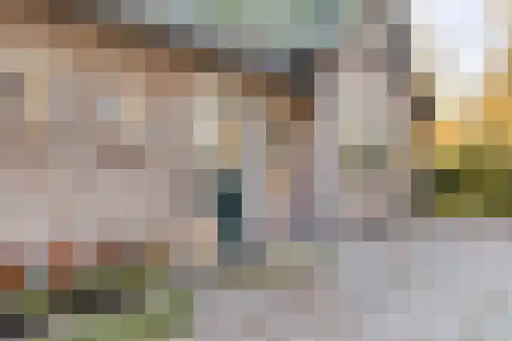 Peelkanaalweg 1 Westerbeek thumbnail 58