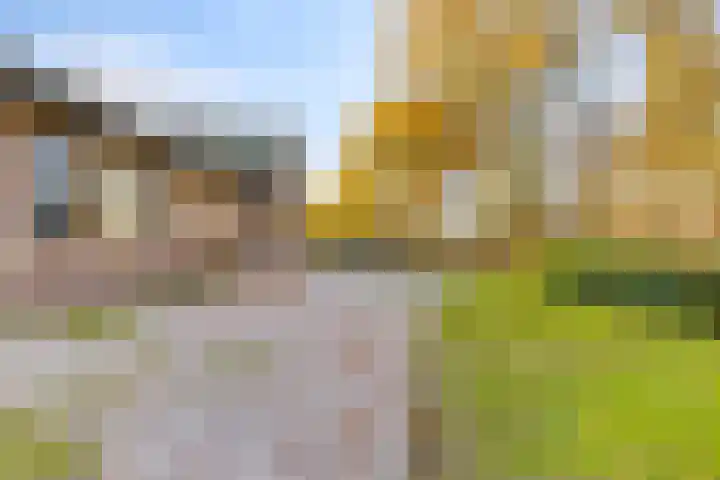 Peelkanaalweg 1 Westerbeek thumbnail 59