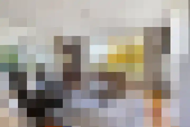 Peelkanaalweg 1 Westerbeek thumbnail 6