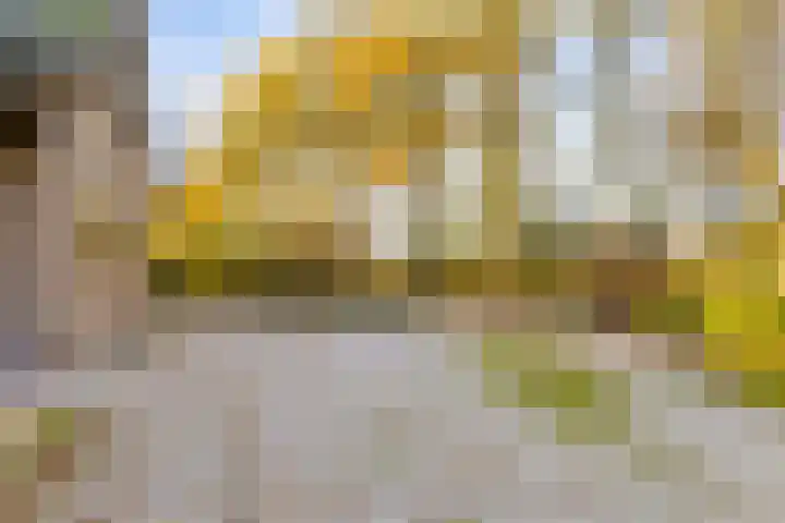 Peelkanaalweg 1 Westerbeek thumbnail 60