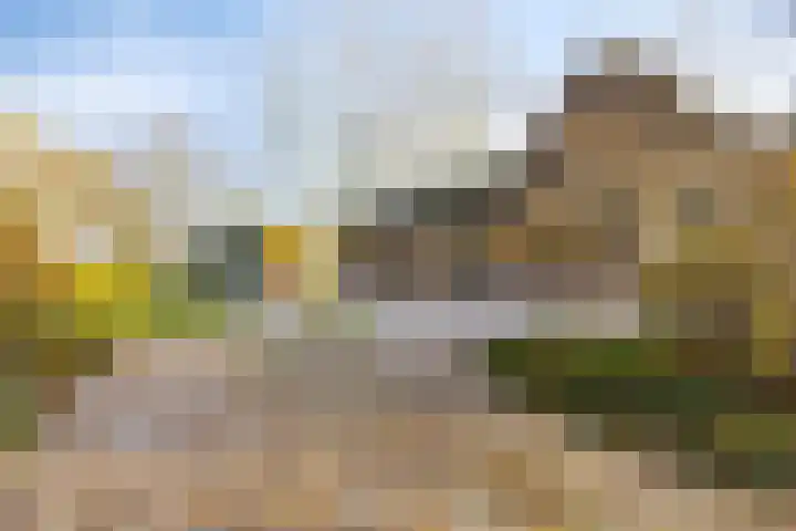 Peelkanaalweg 1 Westerbeek thumbnail 62