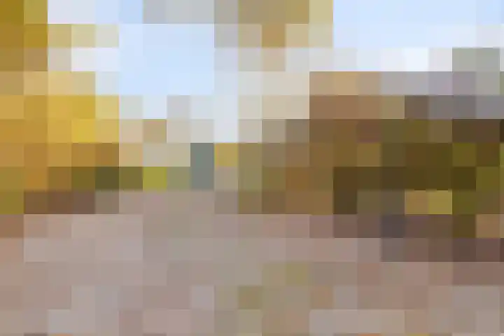 Peelkanaalweg 1 Westerbeek thumbnail 63