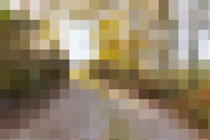 Peelkanaalweg 1 Westerbeek thumbnail 65