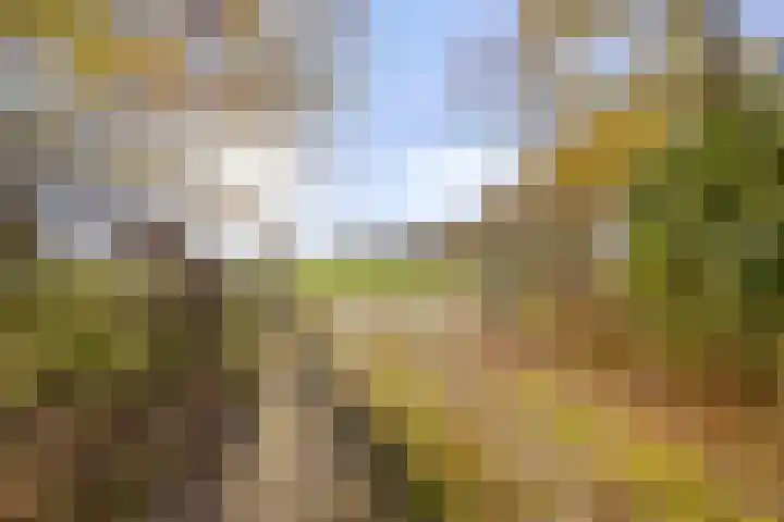 Peelkanaalweg 1 Westerbeek thumbnail 66