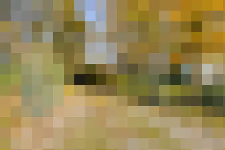 Peelkanaalweg 1 Westerbeek thumbnail 67
