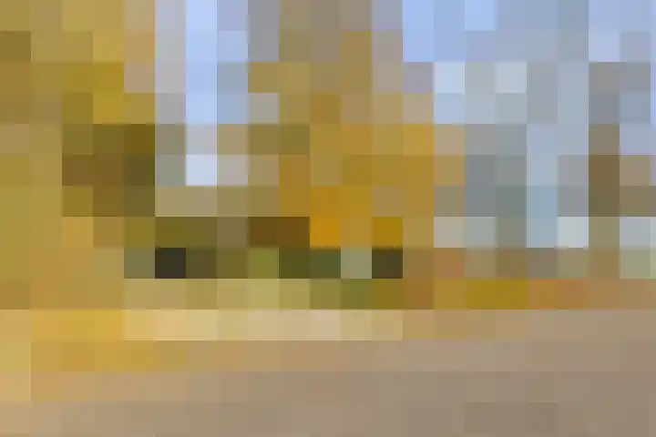 Peelkanaalweg 1 Westerbeek thumbnail 68