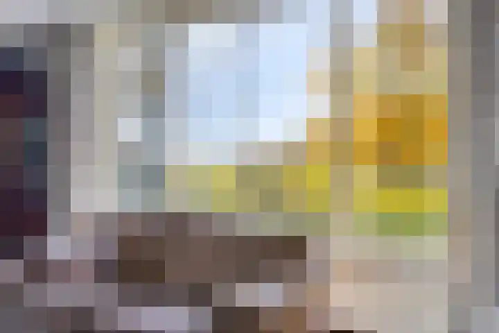 Peelkanaalweg 1 Westerbeek thumbnail 7