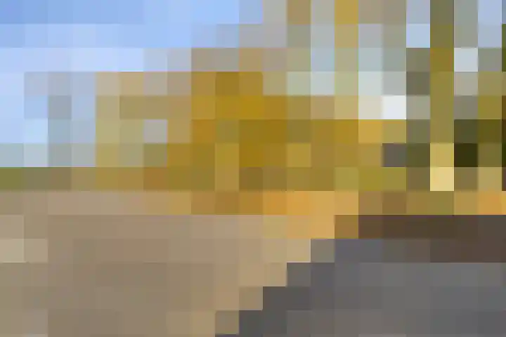 Peelkanaalweg 1 Westerbeek thumbnail 70