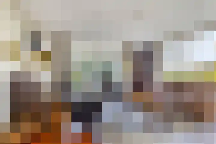 Peelkanaalweg 1 Westerbeek thumbnail 8