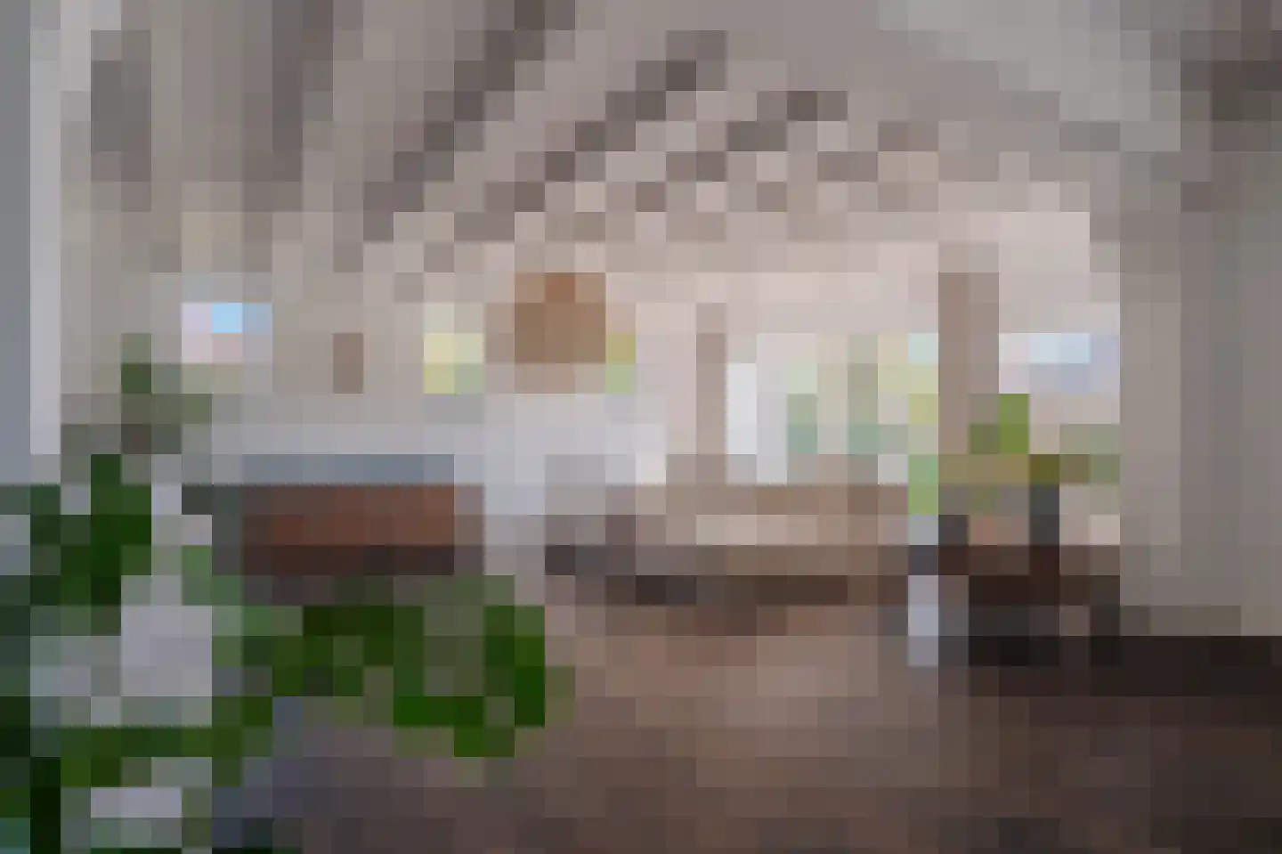 Peelkant 22 Sint Anthonis thumbnail 22