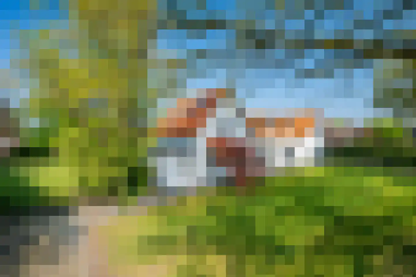 Peelkant 22 Sint Anthonis thumbnail 4