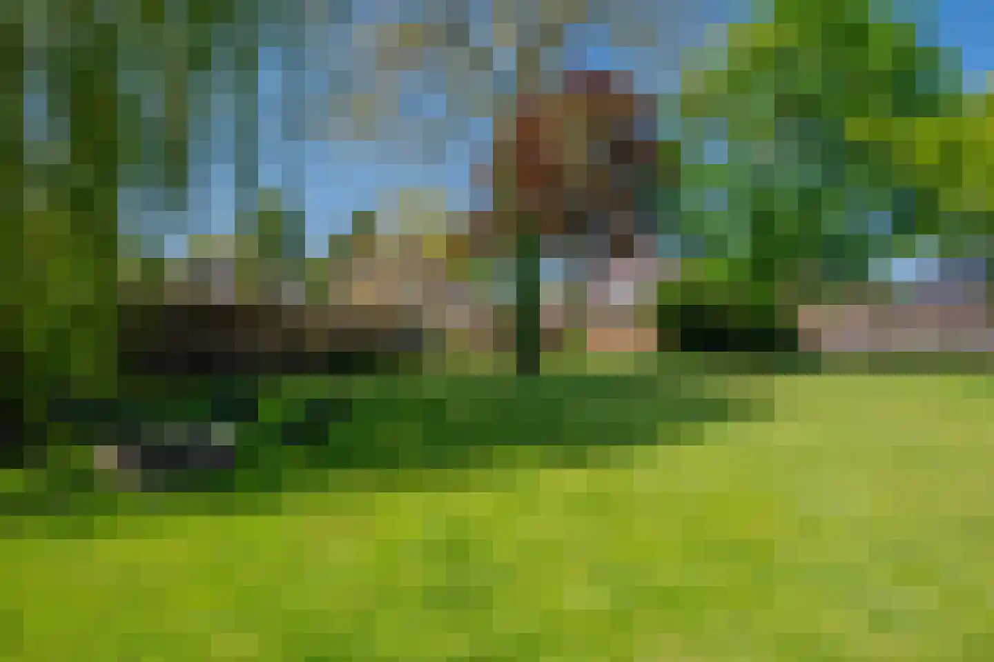Peelkant 22 Sint Anthonis thumbnail 52