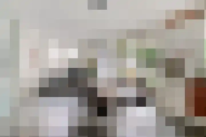 Peelkesakker 13 Asten thumbnail 11