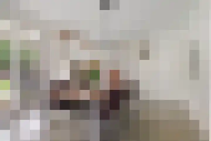 Peelkesakker 13 Asten thumbnail 12