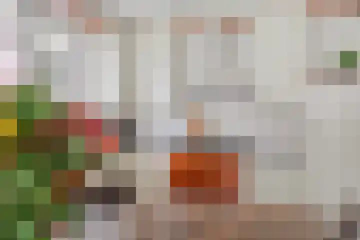 Peelkesakker 13 Asten thumbnail 13