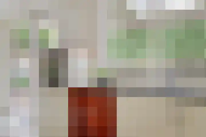 Peelkesakker 13 Asten thumbnail 16