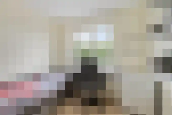Peelkesakker 13 Asten thumbnail 31