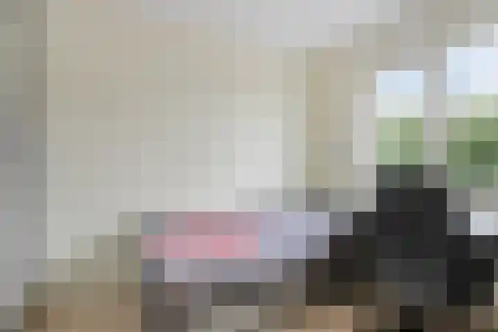 Peelkesakker 13 Asten thumbnail 32