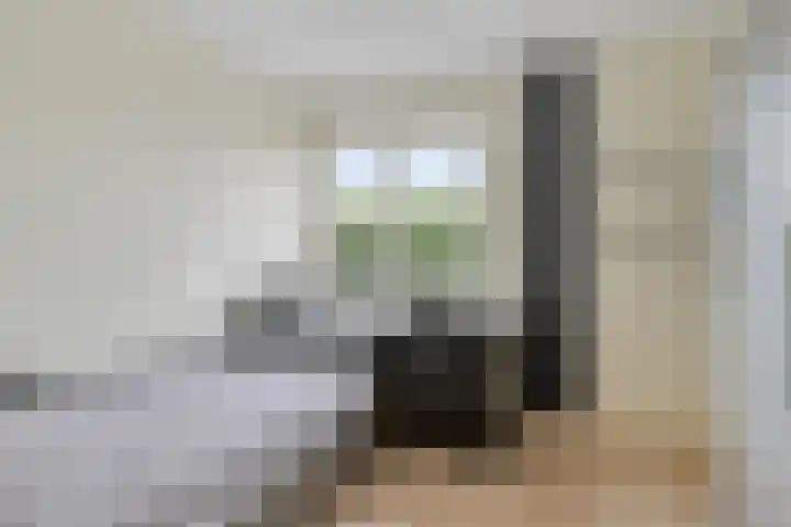 Peelkesakker 13 Asten thumbnail 33