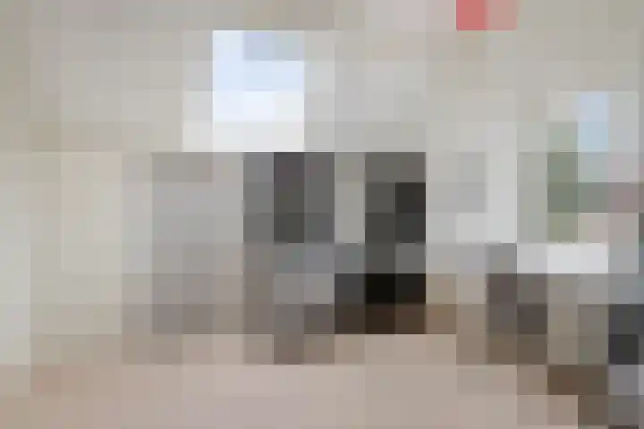 Peelkesakker 13 Asten thumbnail 39