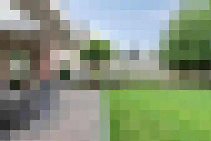 Peelkesakker 13 Asten thumbnail 42