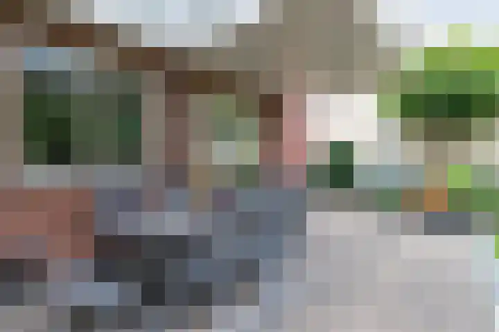Peelkesakker 13 Asten thumbnail 43