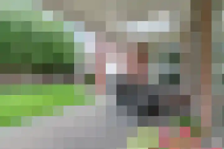 Peelkesakker 13 Asten thumbnail 44