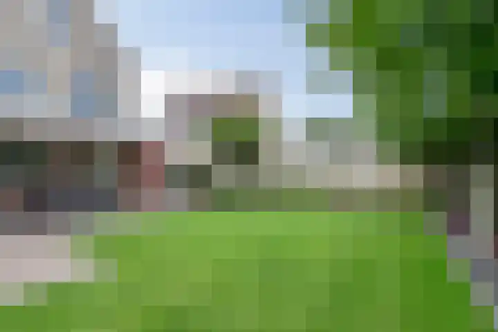 Peelkesakker 13 Asten thumbnail 46