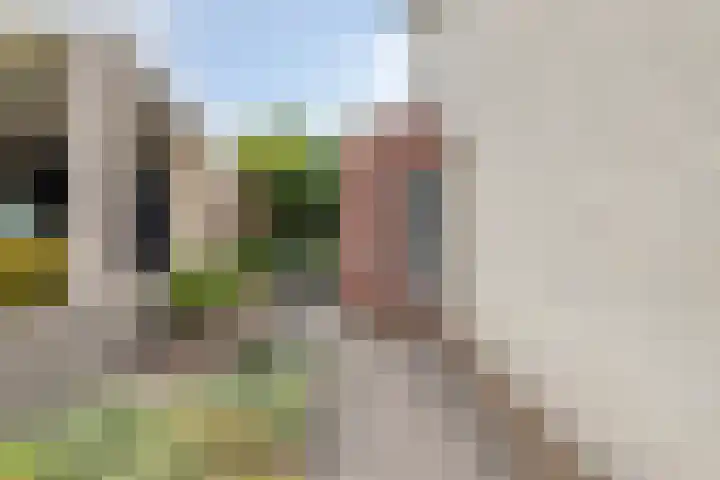 Peelkesakker 13 Asten thumbnail 48