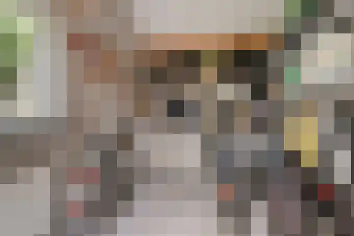 Peelkesakker 13 Asten thumbnail 49