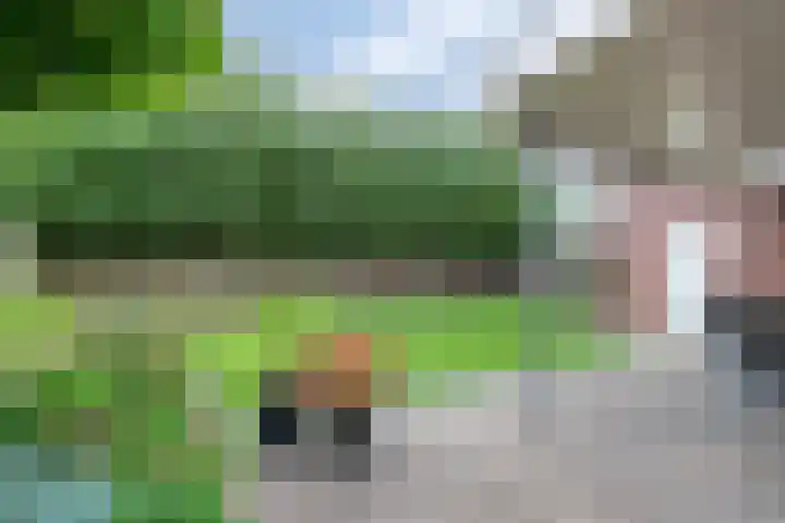 Peelkesakker 13 Asten thumbnail 5