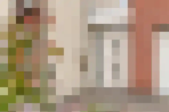 Peelkesakker 13 Asten thumbnail 7