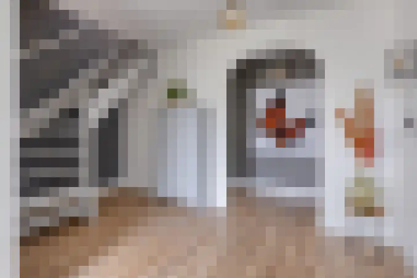 Peelkesakker 38 Asten thumbnail 18