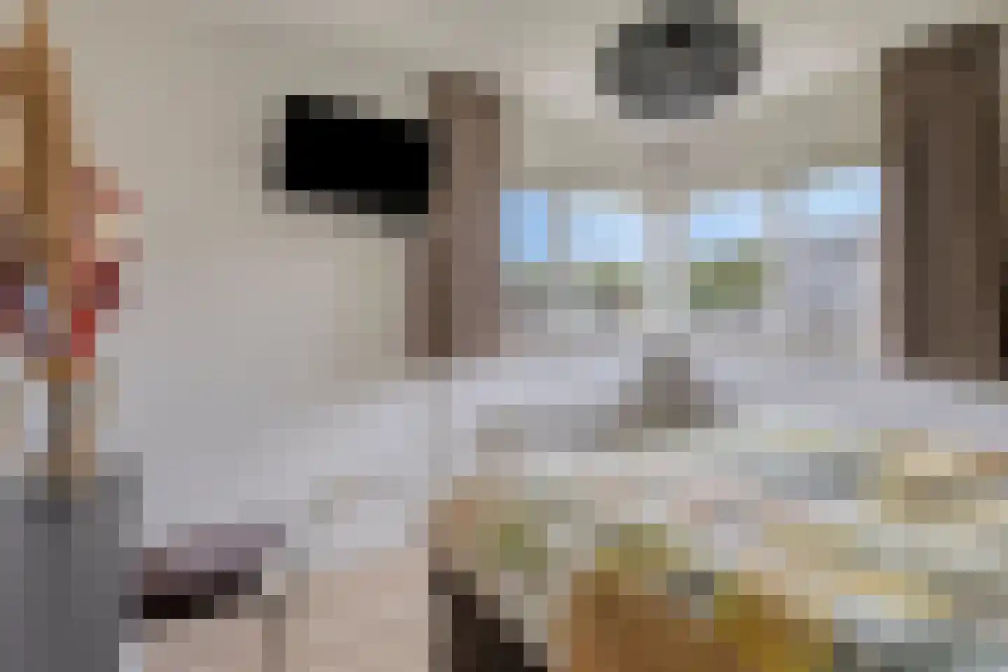 Peelkesakker 38 Asten thumbnail 21