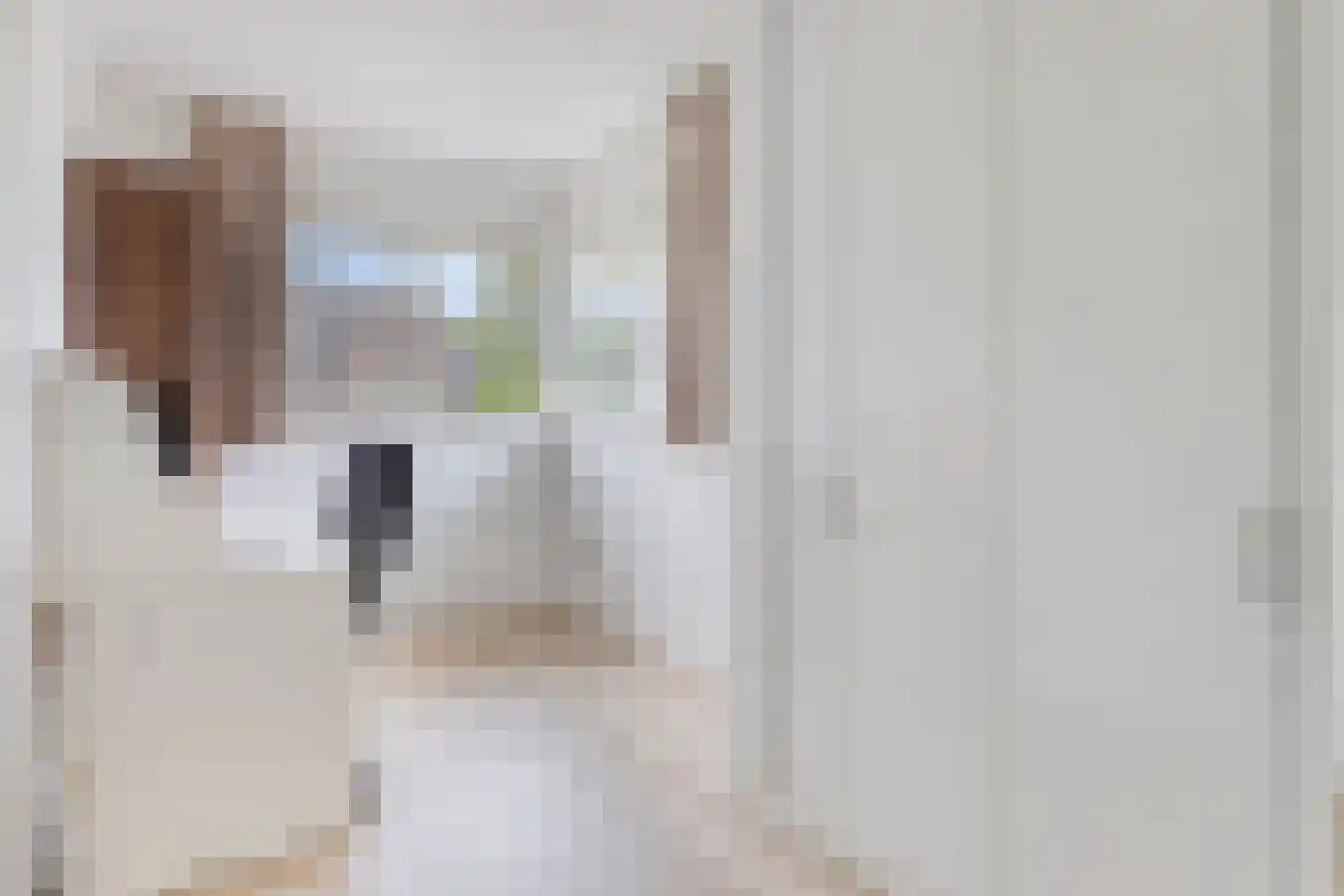 Peelkesakker 38 Asten thumbnail 22