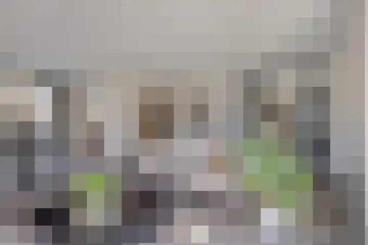 Peelkesakker 40 Asten thumbnail 11