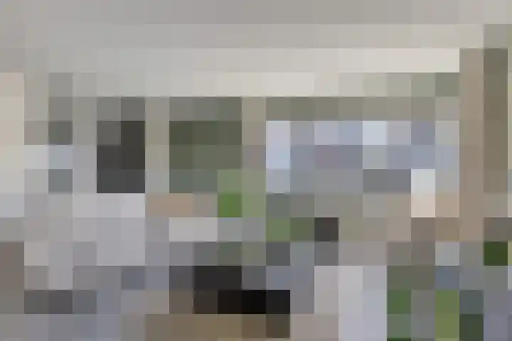 Peelkesakker 40 Asten thumbnail 12