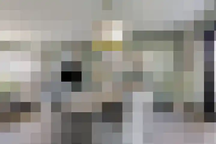 Peelkesakker 40 Asten thumbnail 13