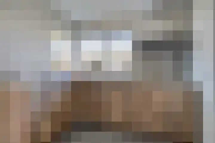 Peelkesakker 40 Asten thumbnail 16