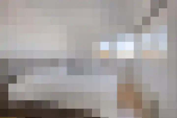 Peelkesakker 40 Asten thumbnail 27