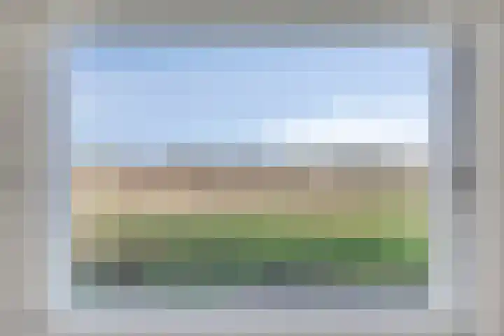 Peelkesakker 40 Asten thumbnail 34