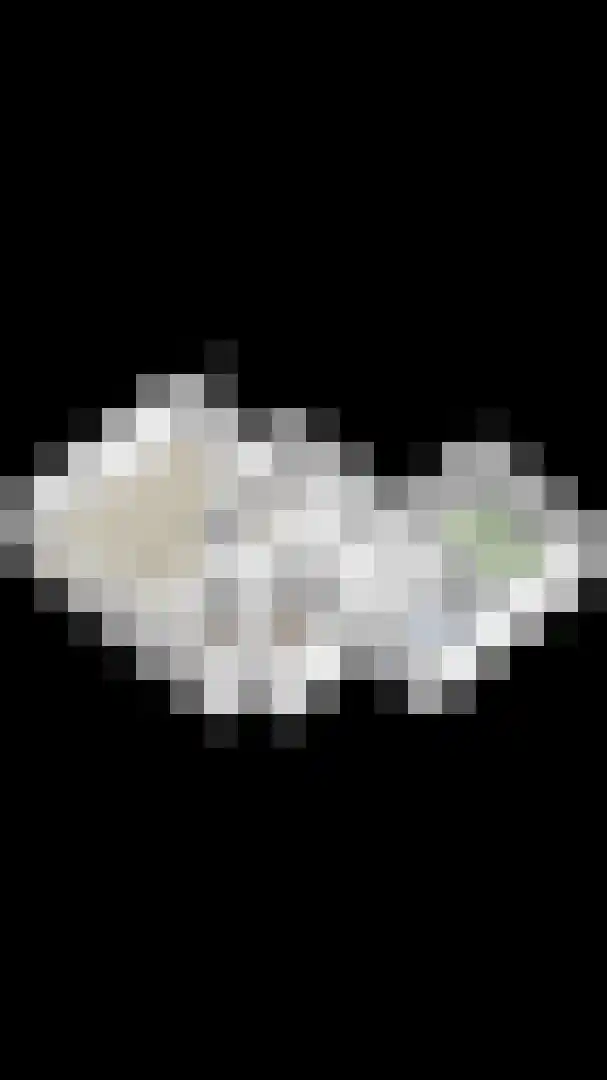 Peelkesakker 40 Asten thumbnail 42
