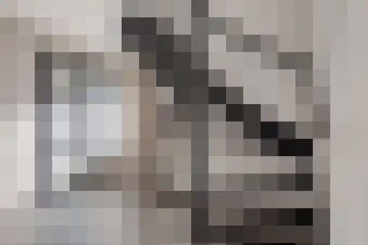 Peelkesakker 40 Asten thumbnail 8
