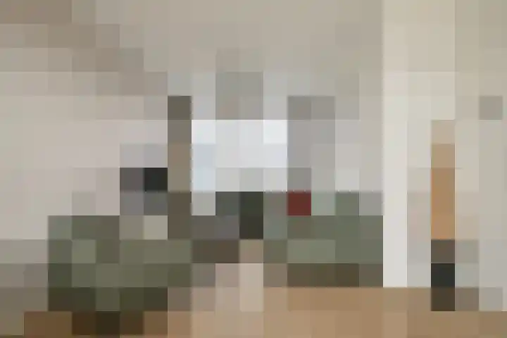 Peelklamp 23 Deurne thumbnail 12