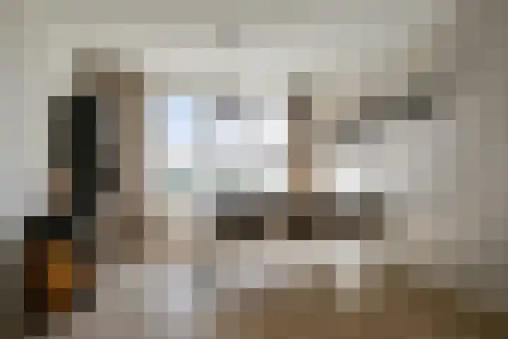 Peelklamp 23 Deurne thumbnail 15