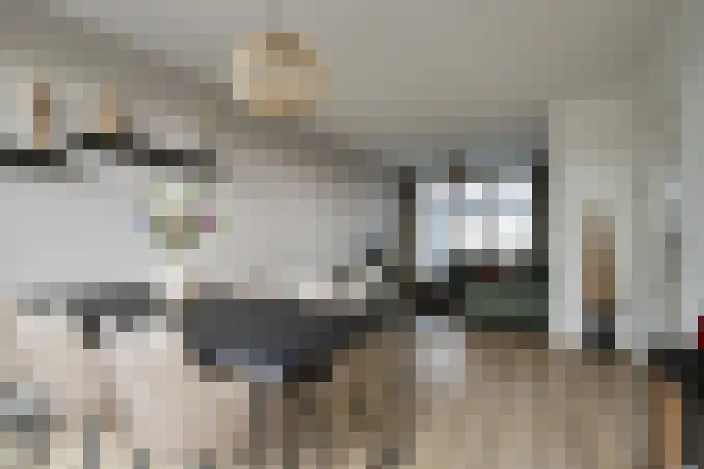 Peelklamp 23 Deurne thumbnail 16