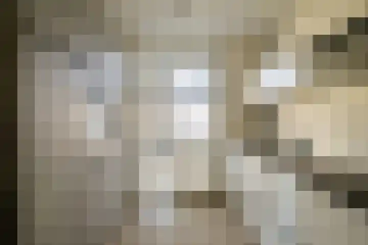 Peelklamp 23 Deurne thumbnail 17